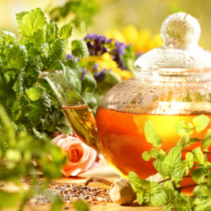 Výtečný odvar z meduňky