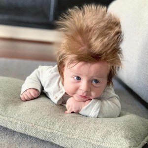 Chlapeček Boston s nebývale bujnou kšticí. Zdroj: Instagram