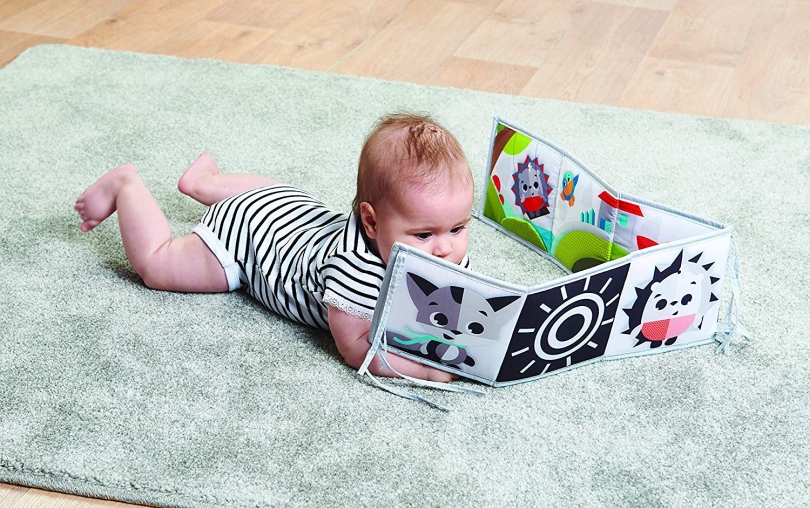 Tiny Love knizka den se zviratky na louce c