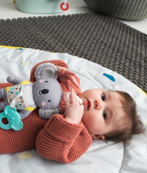 Taf Toys koala Kimmy b