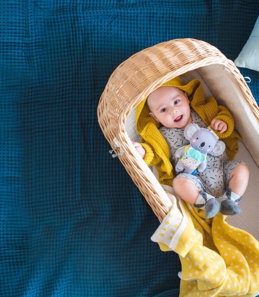 Taf Toys koala Kimmy f