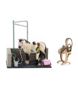 Schleich 42104 myci kout pro kone s prislusenstvim a