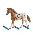 Schleich 42433 set appalossti kone a treninkove prislusenstvi b
