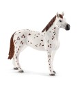 Schleich 42433 set appalossti kone a treninkove prislusenstvi c