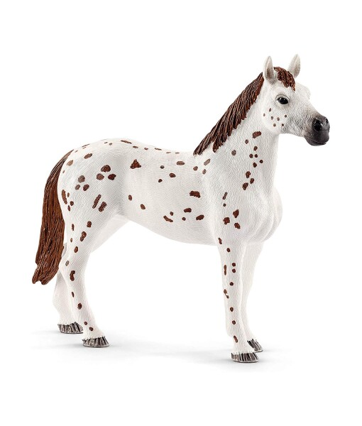 Schleich 42433 set appalossti kone a treninkove prislusenstvi c