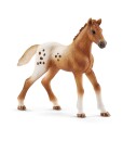 Schleich 42433 set appalossti kone a treninkove prislusenstvi d