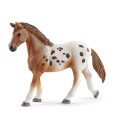 Schleich 42433 set appalossti kone a treninkove prislusenstvi e