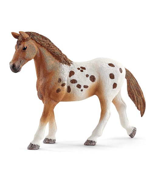 Schleich 42433 set appalossti kone a treninkove prislusenstvi e